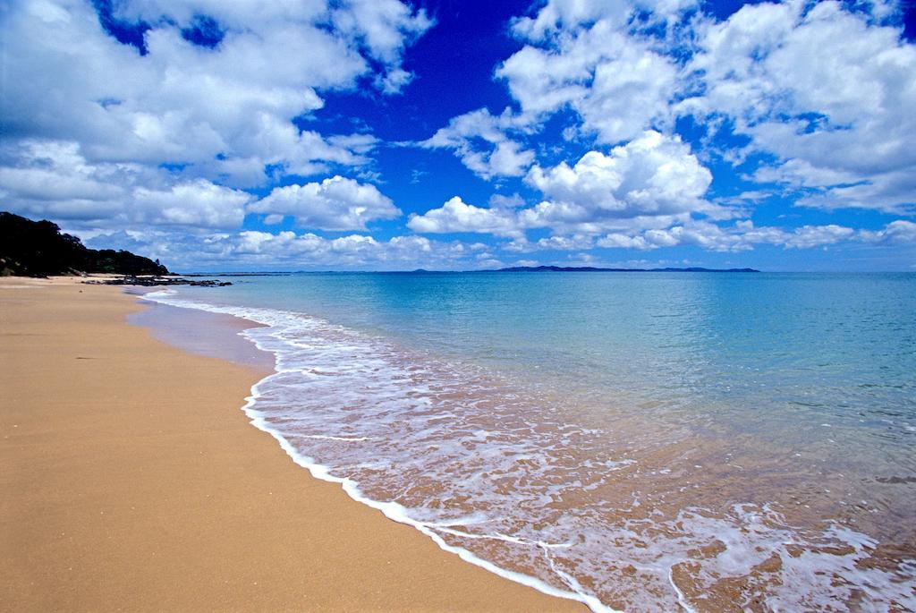 Driftwood Lodge Beachfront, Cable Bay, Northland Coopers Beach Extérieur photo