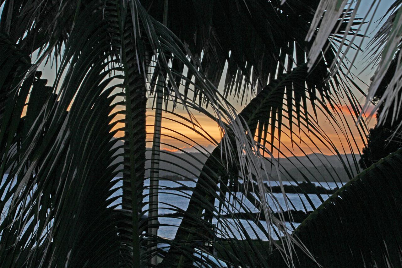 Driftwood Lodge Beachfront, Cable Bay, Northland Coopers Beach Extérieur photo